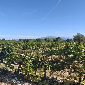 Dans Les Pins Avec Piscine , Mazan France